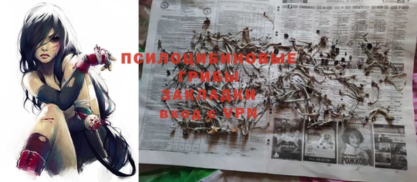 a pvp Бронницы