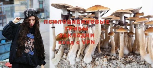 гашик Верхний Тагил