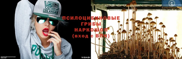 гашик Верхний Тагил